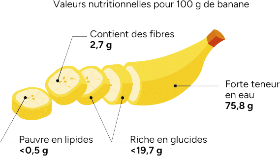 Pommes : calories, valeur nutritionnelle et bienfaits