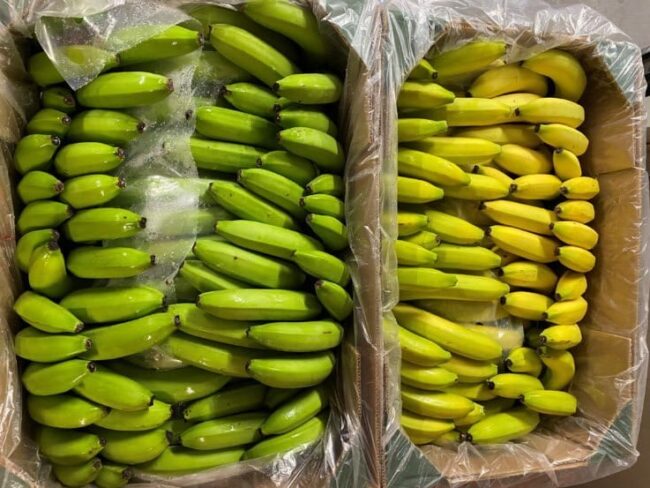 La Main de bananes