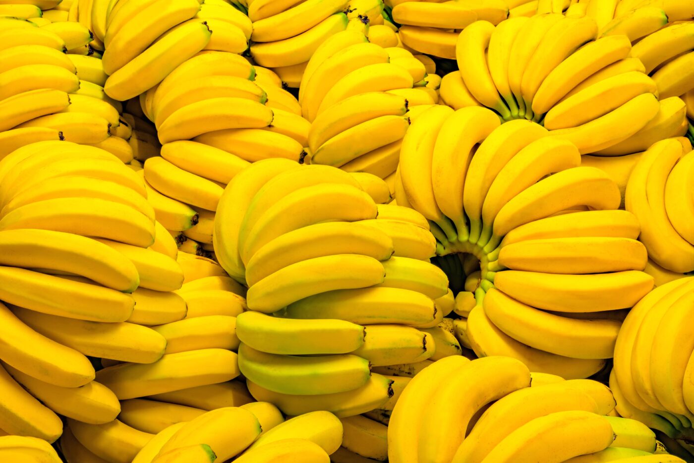 5 idées recettes pour vos bananes pas encore mûres - La Banane