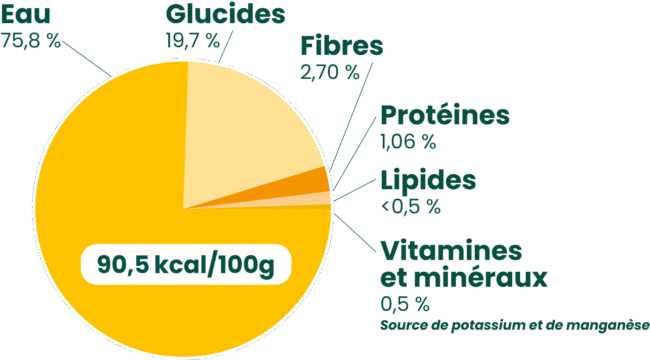 Composition nutritionnelle moyenne pour 100g de pulpe de banane (source : Table Ciqual, Anses, 2020)